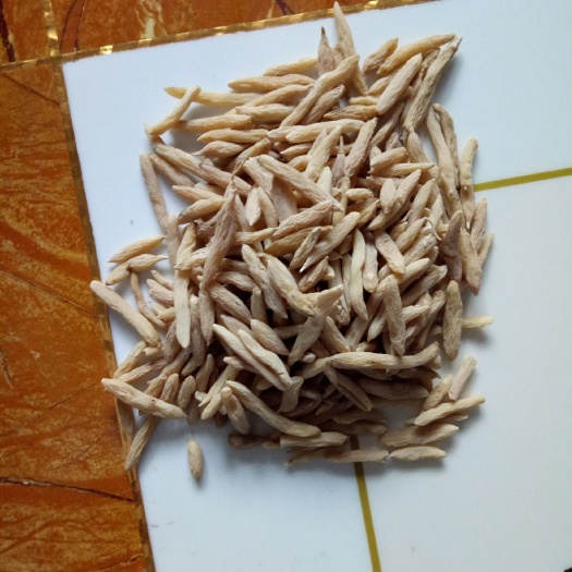 曹县麦冬  精品