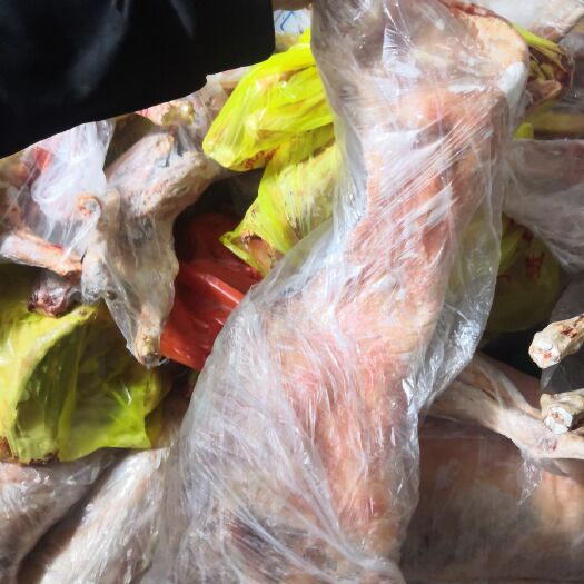 菏泽白条羊 新鲜现杀山羊酮体