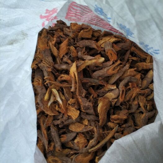 桑植县虎杖