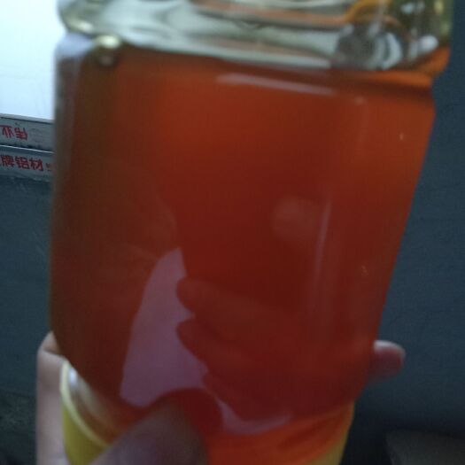 龙山县土蜂蜜 刚取的板栗花蜜