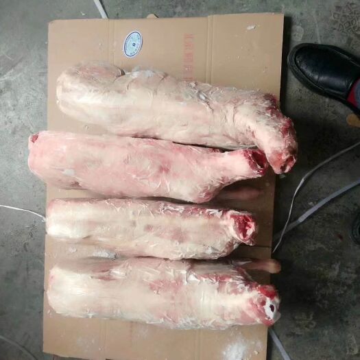 锡林浩特绵羊 30斤以下