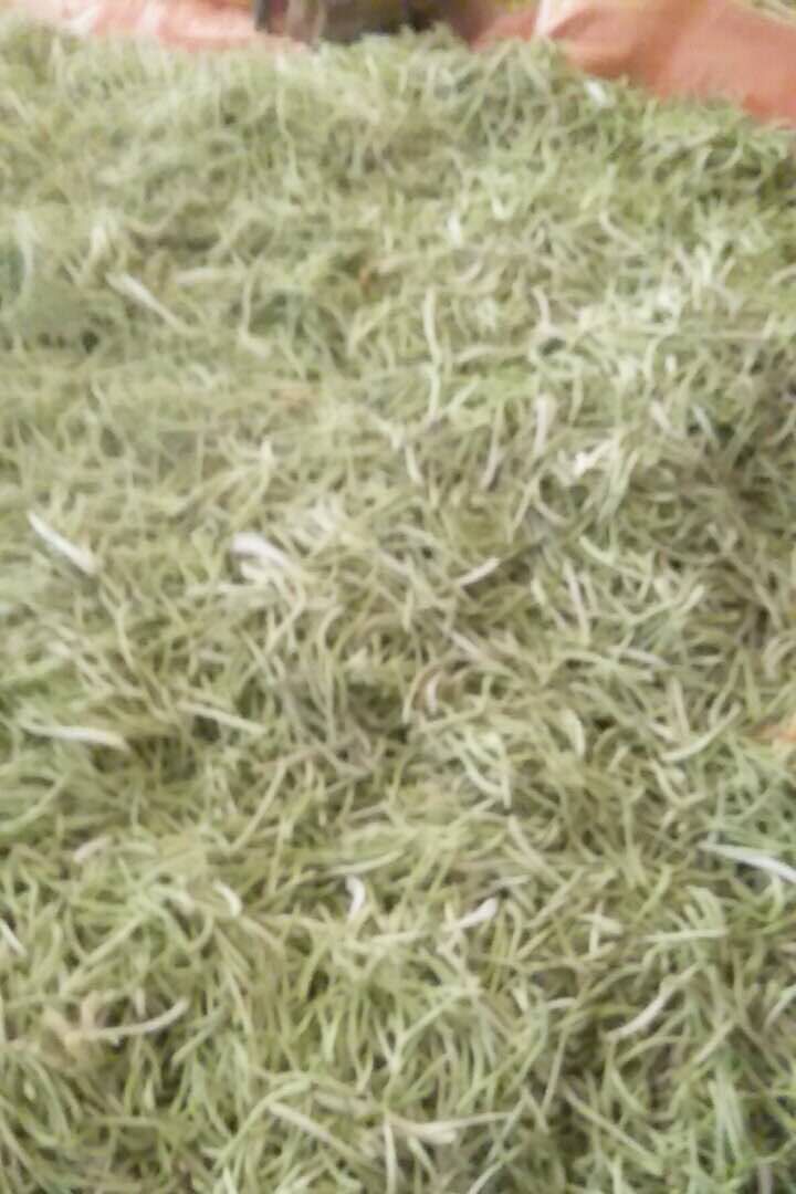  金银花，干花