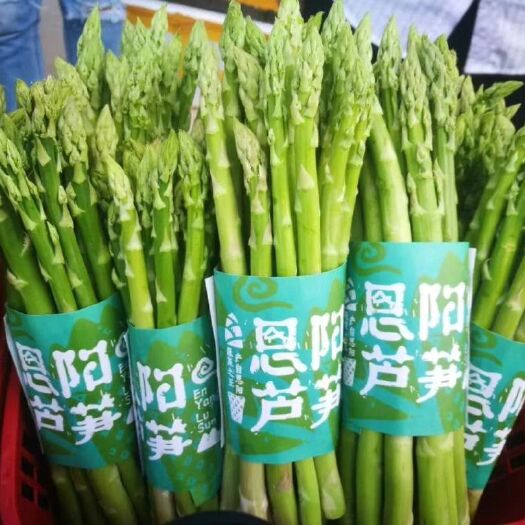  中国芦笋之乡 恩阳有机芦笋