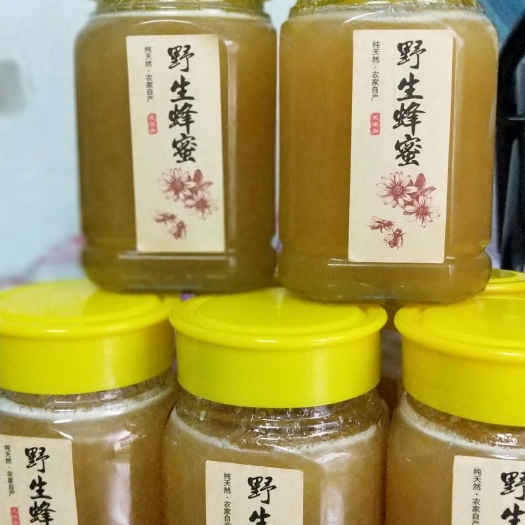 麻阳县土蜂蜜 纯中华蜜冰糖橙之乡橙蜜，。橙花蜜采自柑之花蜜