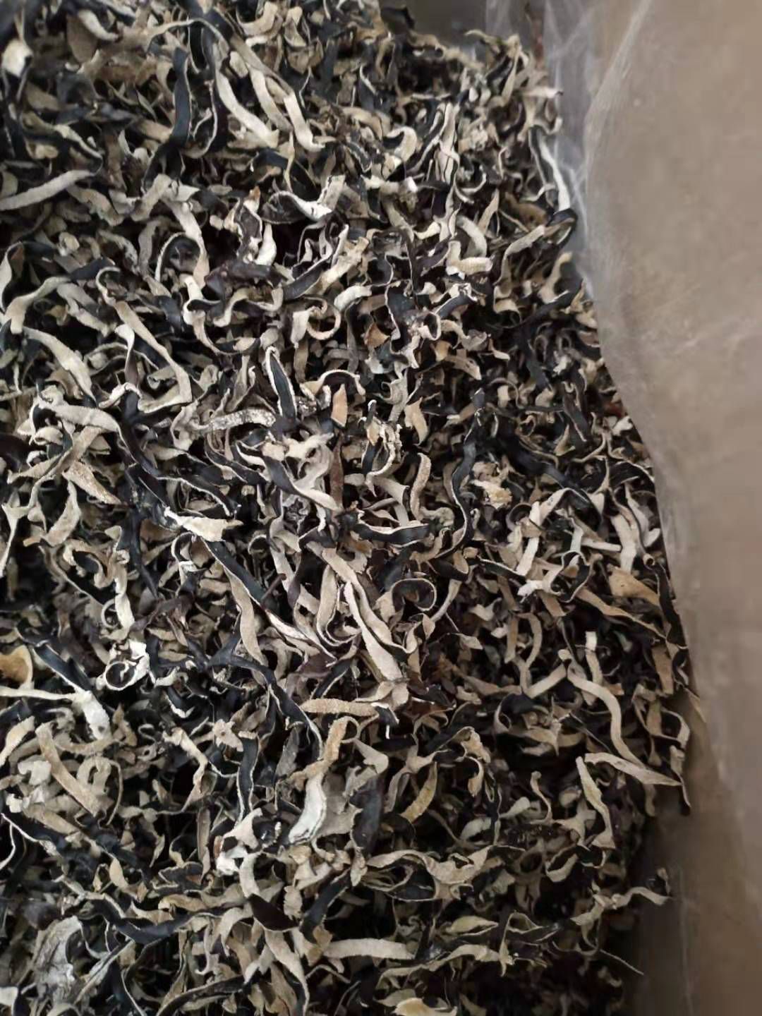 木耳丝 木耳丝批发 精品木耳丝 品质好 产地直发！包邮！