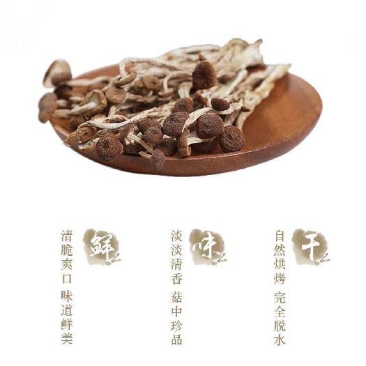 广昌县 正宗广昌茶树菇  有意向请来电详谈