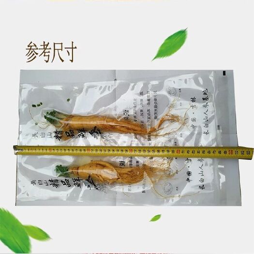 抚松县泡酒鲜参大个人参泡酒料35一棵包邮