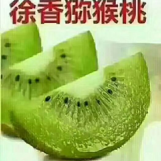 徐香猕猴桃 徐香猕糊桃