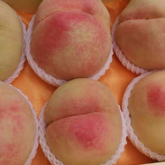 宜兴市 无锡水蜜桃，白凤桃
