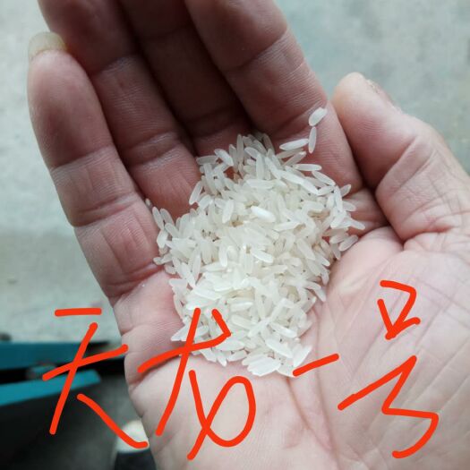 江华县天隆一号 天龙一号