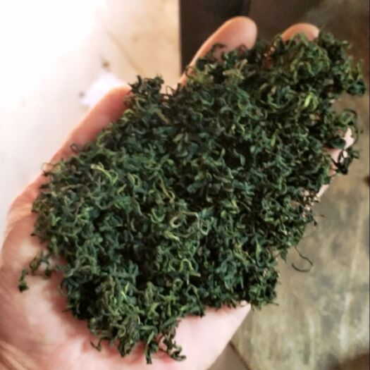 蒲公英茶  ，不能代表药物