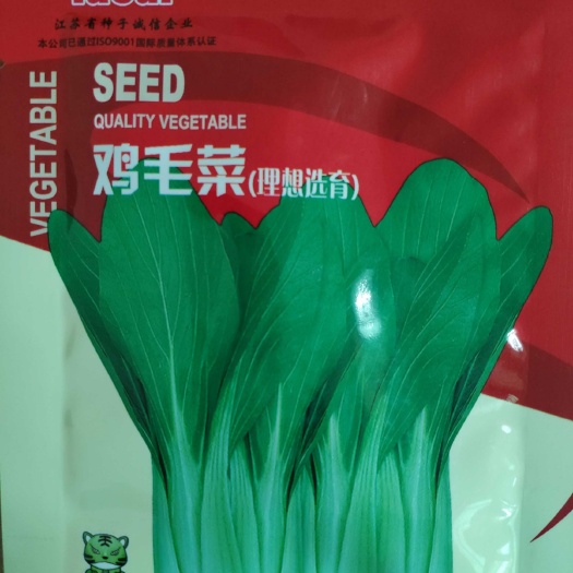 余干县上海青种子  鸡毛菜种子，株型直立高12厘米叶片绿色椭圆亩产4500k