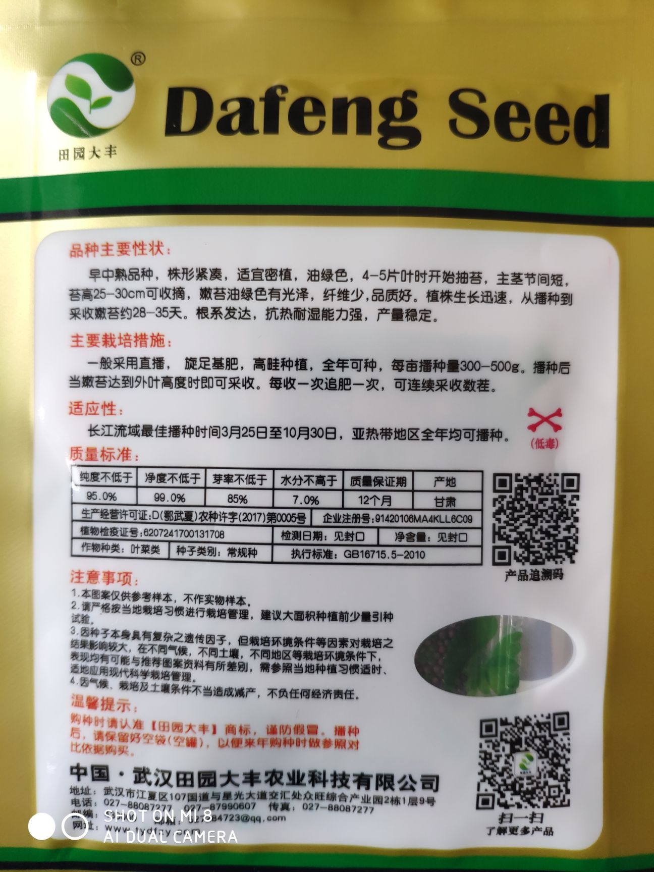 甜菜心种子  四季油青甜脆菜心种子 早熟株型紧凑 油绿色播种