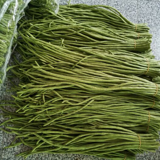 芜湖缸豆，  长豆角，产地直供一手货源，大鹏种植，芜湖产地。