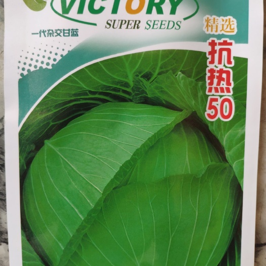 余干县圆包菜种子  抗热50菜种子杂交甘蓝种子特耐高温叶绿色结球紧