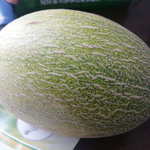 蒲城县网纹蜜瓜 2斤以上