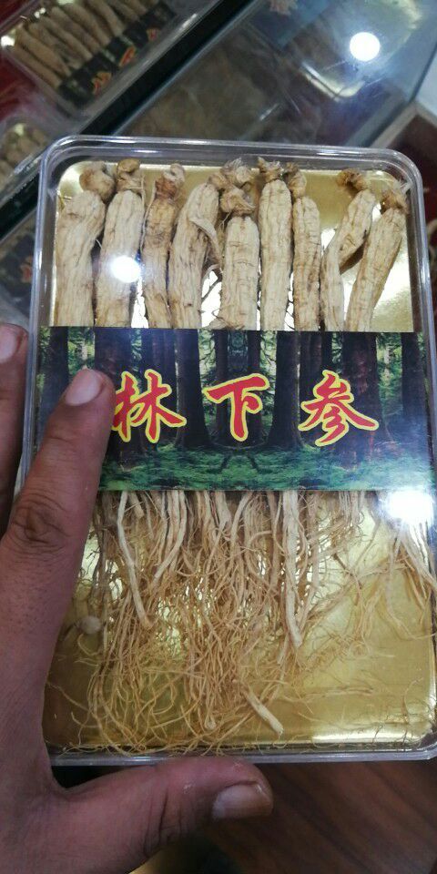 永吉县 林下参，全国包邮