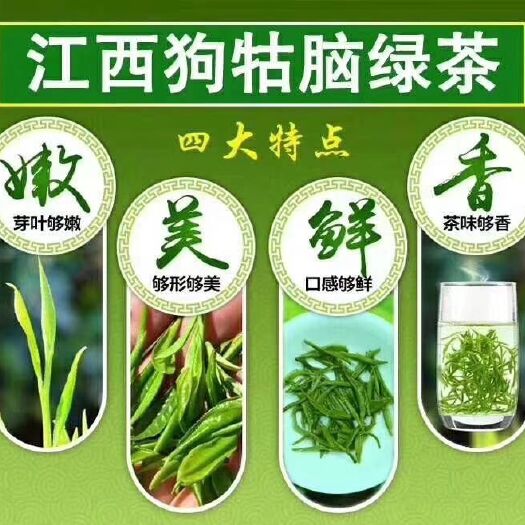 遂川县 江西狗牯脑绿茶高山手工茶