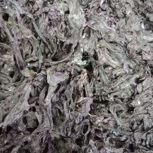 颍上县 免洗无沙紫菜