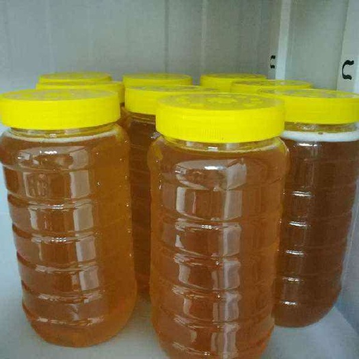滨州 大量供应枣花蜜，洋槐蜜