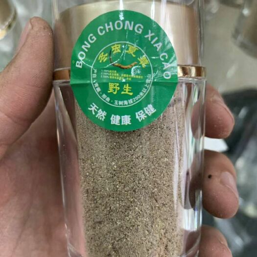 成都 虫草粉