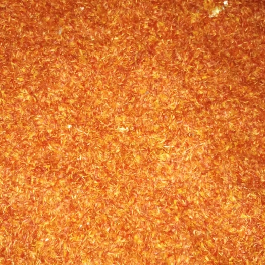 东明县 大量红花出售