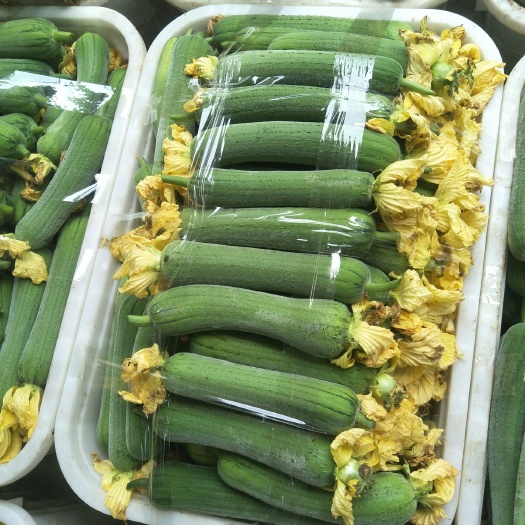 自贡 鲜花丝瓜