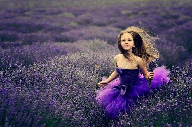 薰衣草种子花种子法国普罗旺斯薰衣草花种四季易种庭院花籽