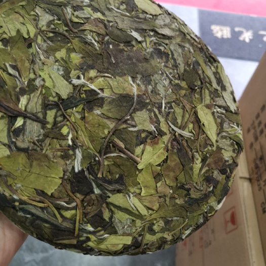 福鼎市 福鼎白茶2019春寿眉