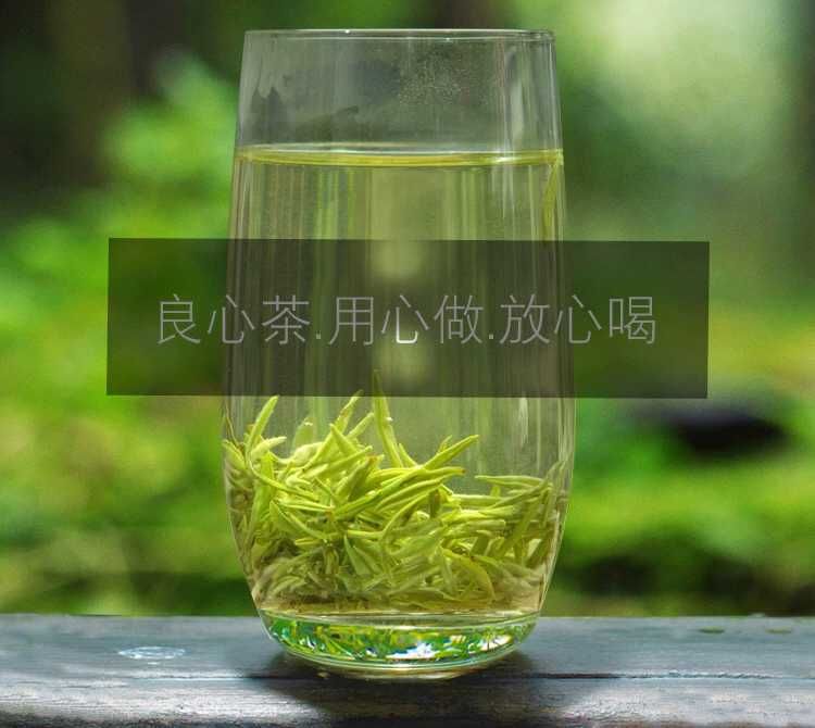 松針茶  松針綠茶