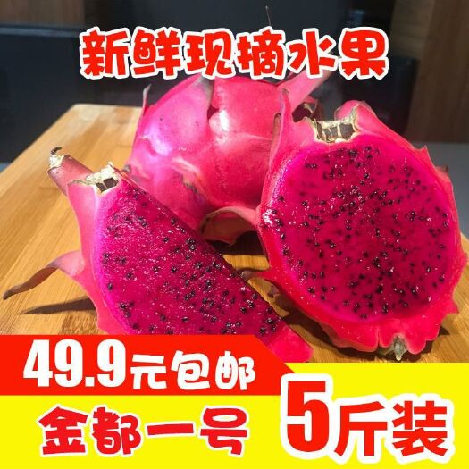 横州市金都一号火龙果 新品上市