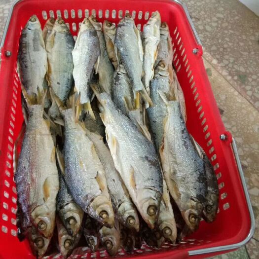 乐昌市黄鱼干