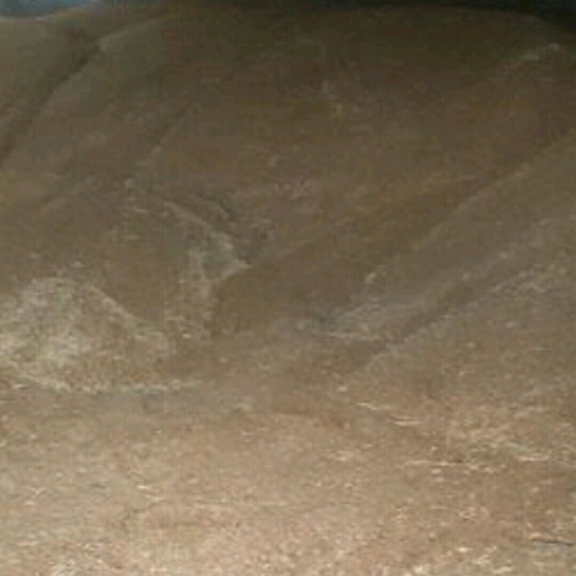 滑县 优质小麦，