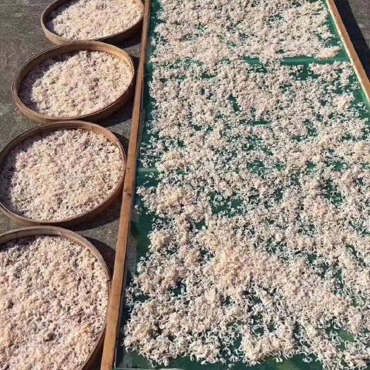 湛江 天然虾皮