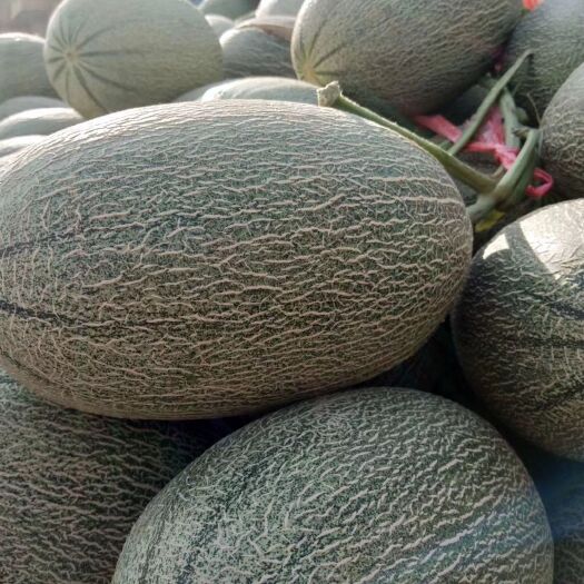 大连西州蜜25号 甜度高，质量好