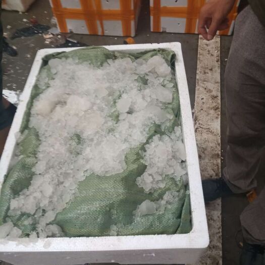 天门市 湖北鲜活小龙虾，今天发隔天到包物流价格，直达城市包邮。