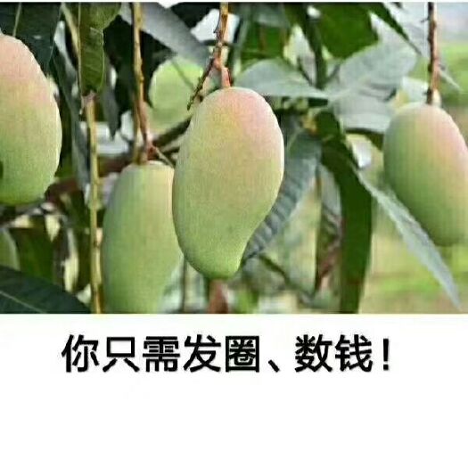 田东县小台农 昨天下单的朋友，今天已经打包好给你们发货了，就坐等着签收吧！