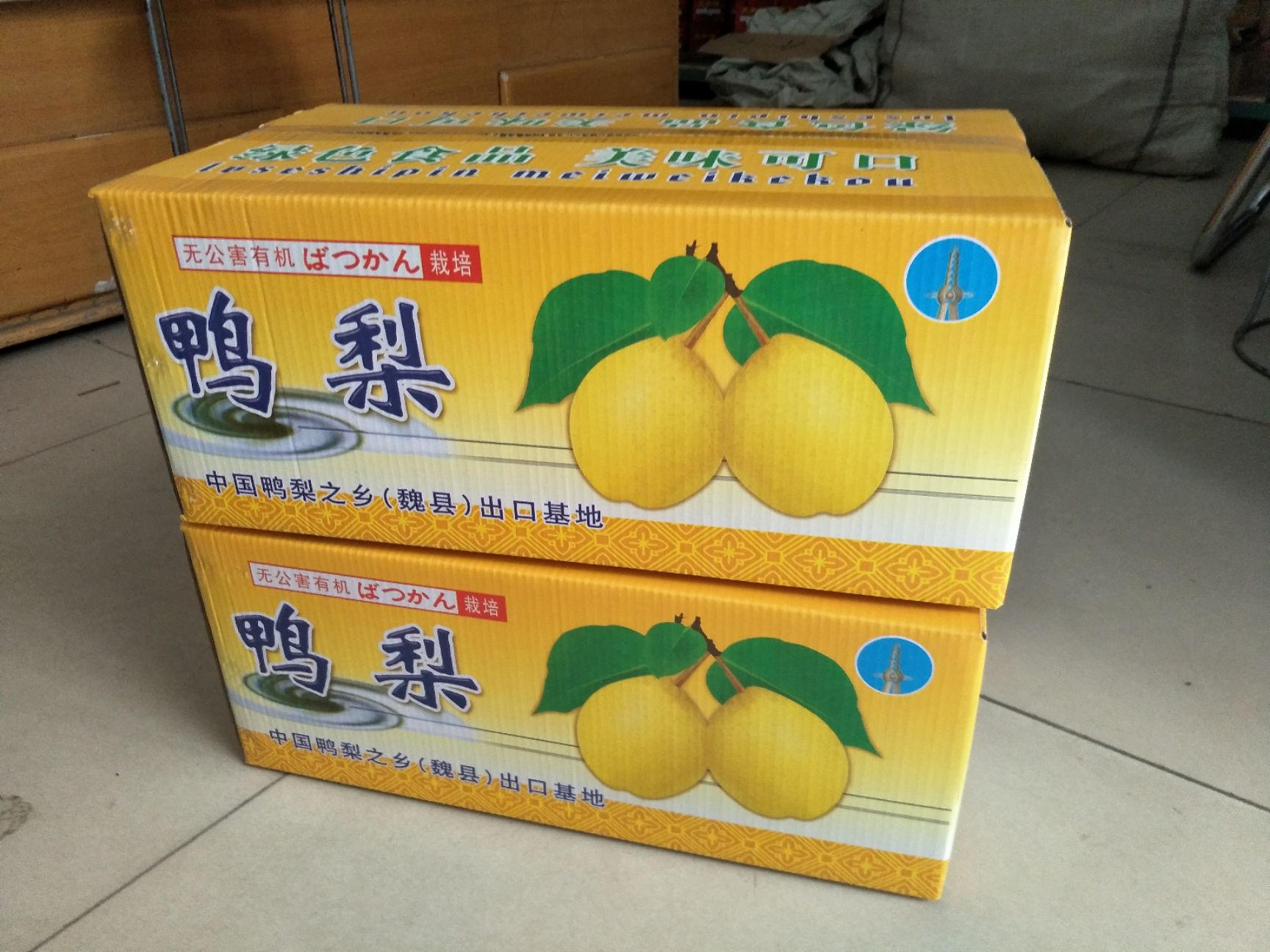  正宗魏县鸭梨批发零售