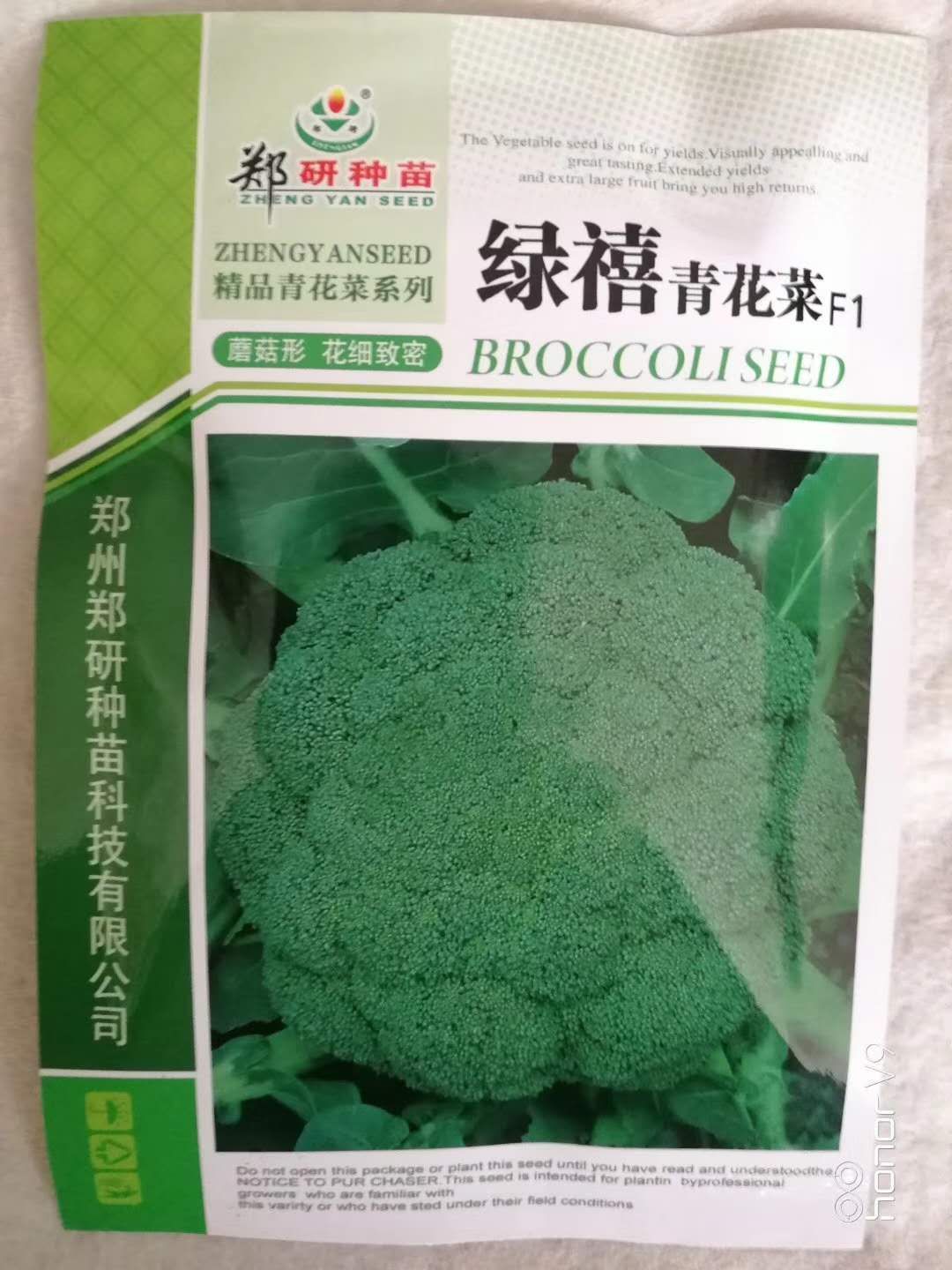 夏邑县 郑研种苗 西兰花种子  青花菜种子  1000粒