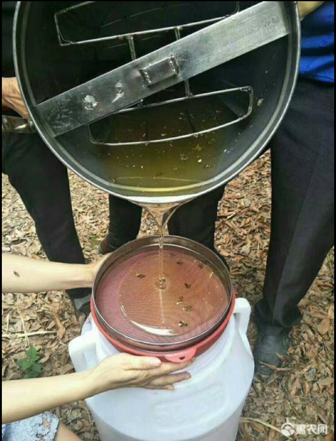  纯蜂蜜荔枝蜜正规农业龙头企业无勾兑无农残优质蜜糖散装蜜