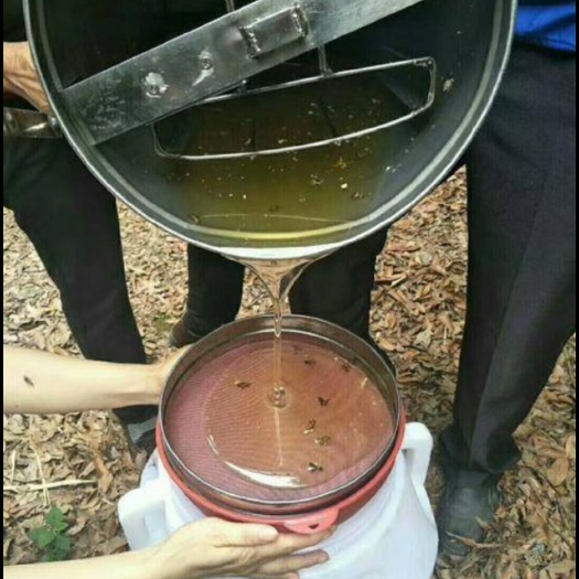 广州 纯蜂蜜荔枝蜜正规农业龙头企业无勾兑无农残优质蜜糖散装蜜