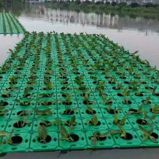 安新县塑料盆 人工浮岛