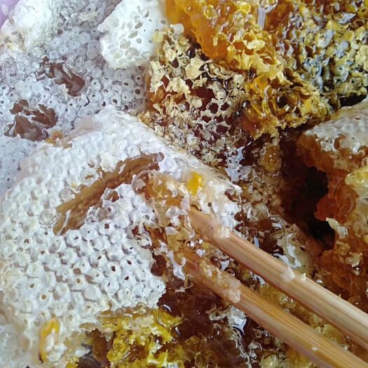 芒市 农家野生蜂蜜