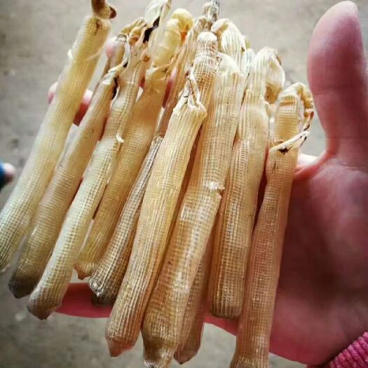 北海农家炭烤沙虫干(让大自然最纯正，最天然的味道冲击你的味蕾。