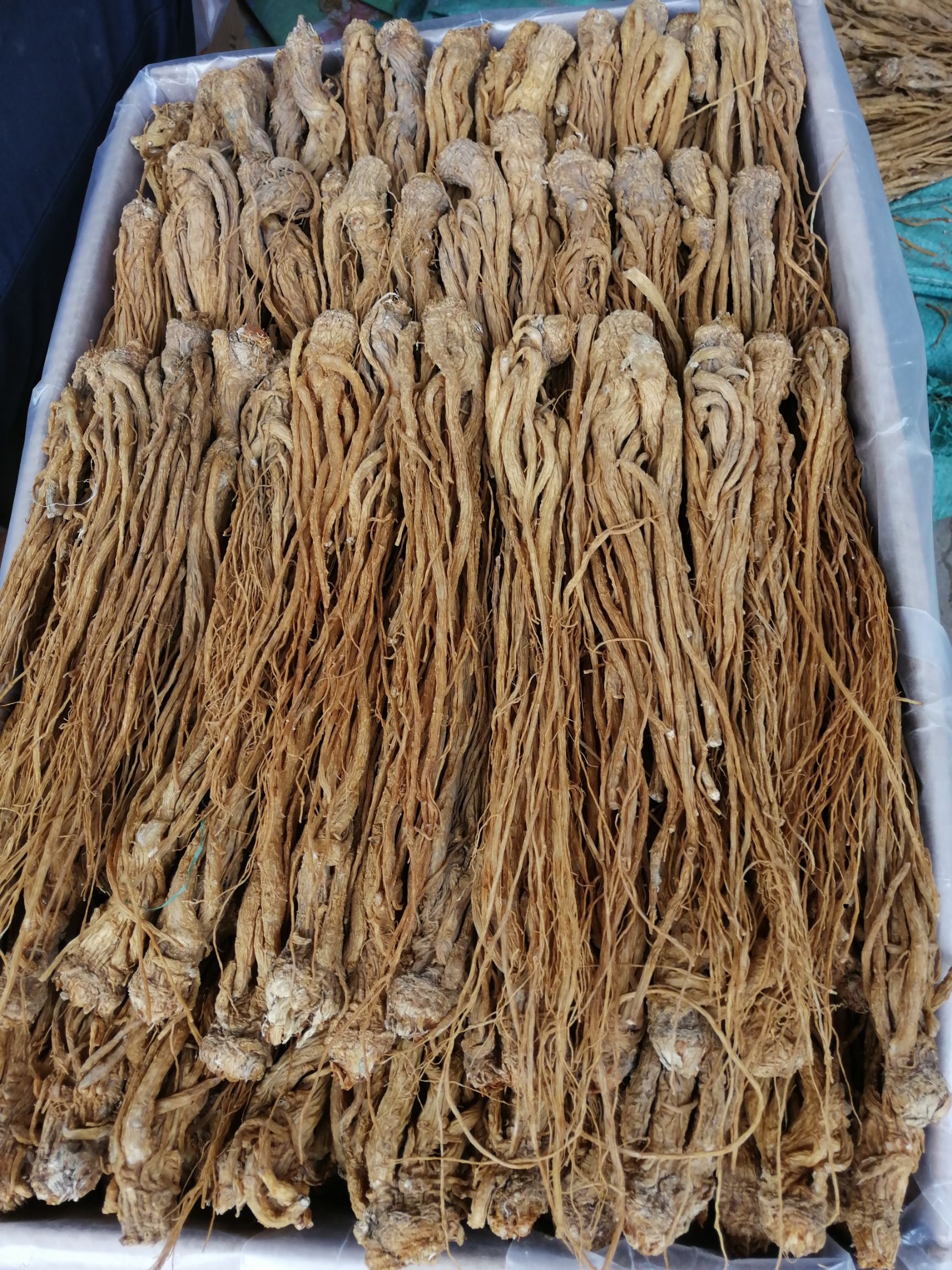 当归价格 当归价格现在多少钱一斤