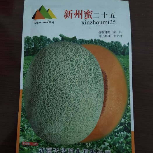 天津哈密瓜种子 新洲密25杂交种 可试种