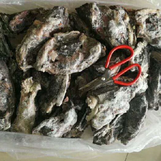 合浦县 新鲜冷冻 乌鸡架 质量保证 长期合作 煲汤佳品  炖土豆
