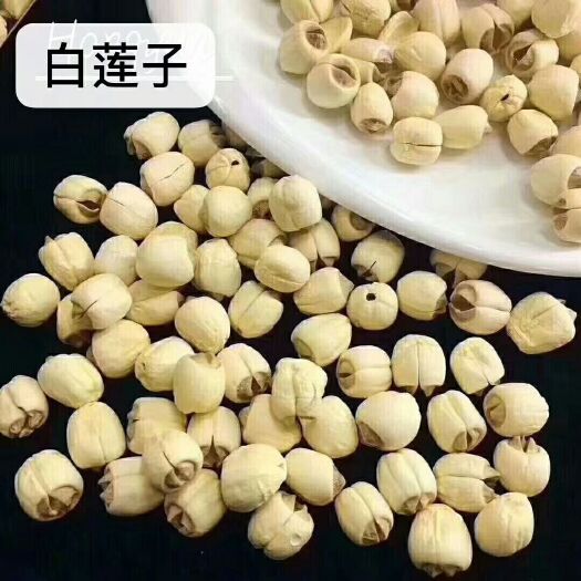 石城县白莲子 纯手工制作白莲