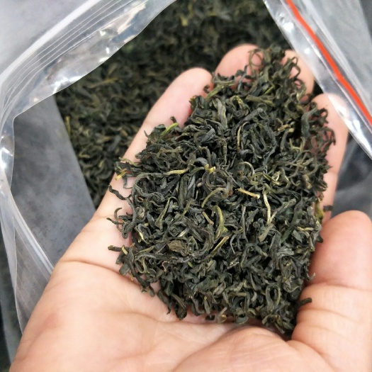 西安炒青茶 选好茶，来宏府茶庄