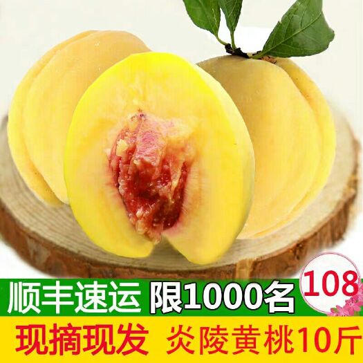 炎陵县 炎陵黄桃现摘现发顺丰包邮新鲜10斤